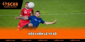 kèo chẵn lẻ tỷ số